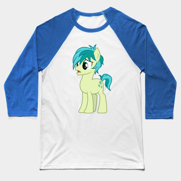 Sandbar talking to the crowd 2 Baseball T-Shirt by CloudyGlow